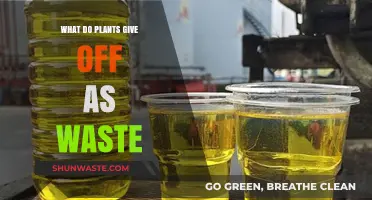 Plant Waste Unveiled: Exploring Oxygen, Carbon Dioxide, and Other Byproducts
