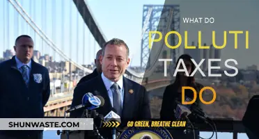 Pollution Taxes: Effective Solution to Environmental Issues?