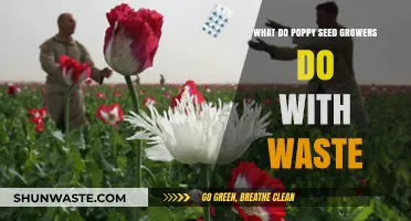 Sustainable Practices: How Poppy Seed Growers Manage and Repurpose Waste