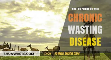 Prions' Role in Chronic Wasting Disease: Unraveling the Devastating Impact
