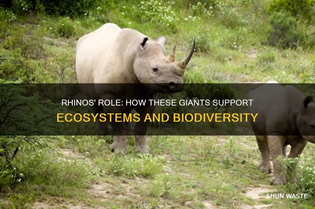 what do rhinos do to help the environment