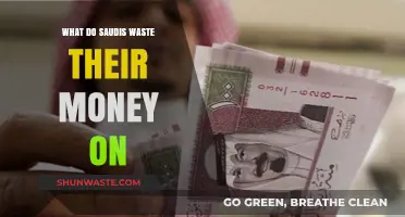 Saudis' Spending Habits: Uncovering Common Money Wasters in the Kingdom