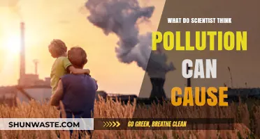 Unveiling the Impact: Scientists' Insights on Pollution's Hidden Dangers