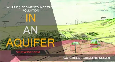 Sediment Pollution: Aquifer Contamination and Its Impact