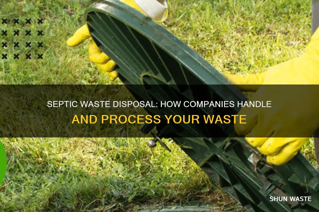 what do septic companies do with the waste