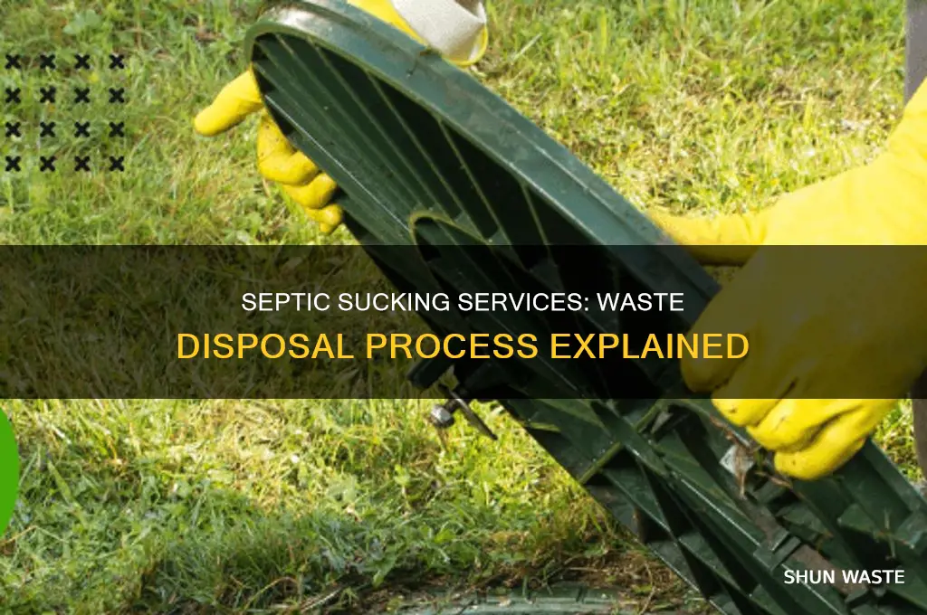 what do septic sucking services do with the waste