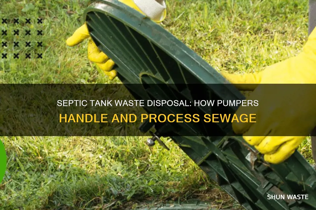 what do septic tank pumpers do with trhe waste