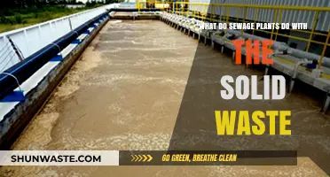 How Sewage Plants Process and Dispose of Solid Waste