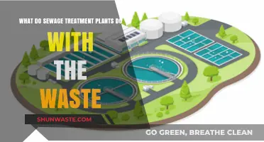 How Sewage Treatment Plants Process and Dispose of Waste Safely