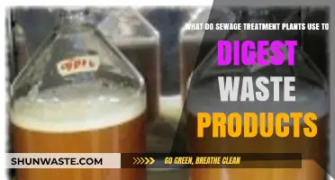 Microbes and Chemicals: How Sewage Treatment Plants Digest Waste