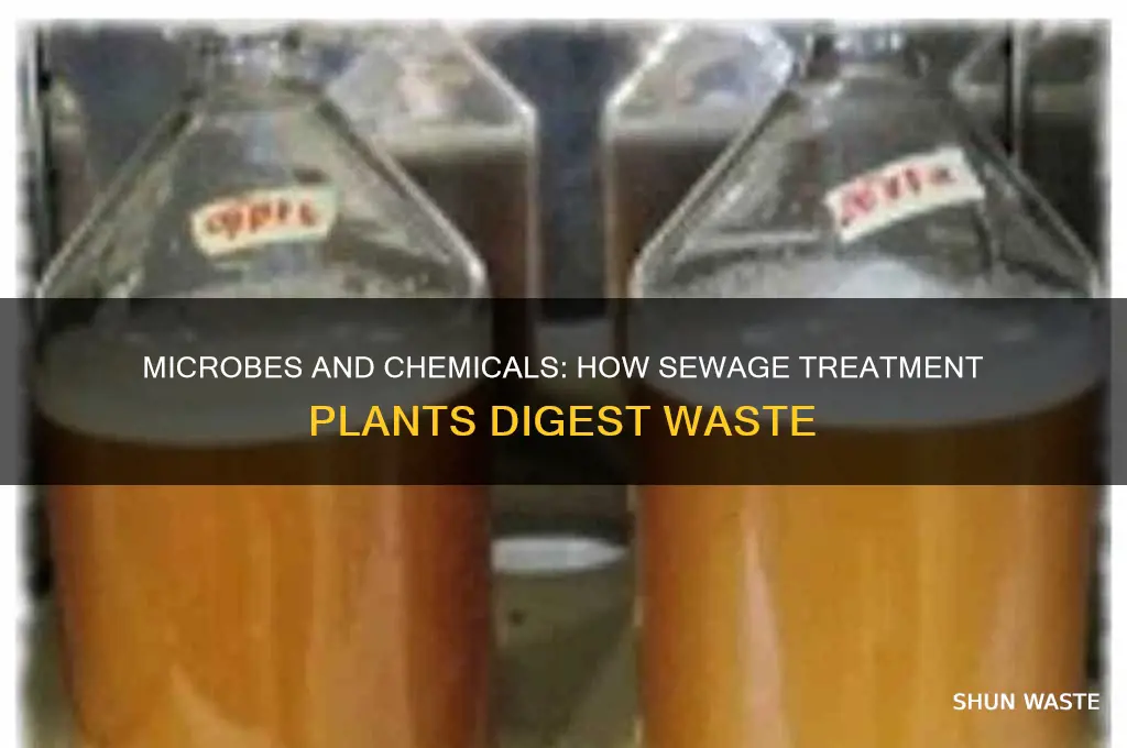 what do sewage treatment plants use to digest waste products