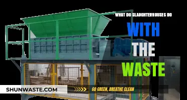 Slaughterhouse Waste Management: Disposal, Recycling, and Environmental Impact Explained