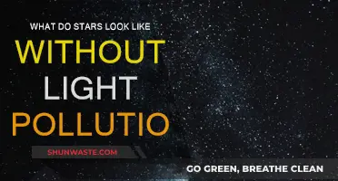 Stargazing: Unveiling the True Beauty of the Night Sky