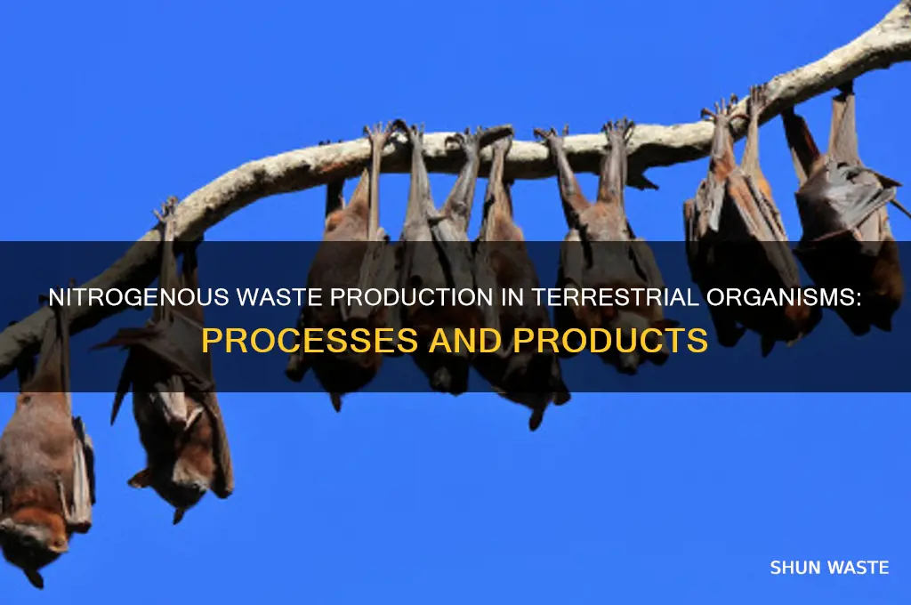 what do terrestrial organims produce as a nitrogenous waste