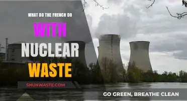 France's Nuclear Waste Management: Innovative Solutions and Long-Term Strategies