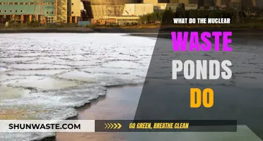 Understanding Nuclear Waste Ponds: Functions, Risks, and Environmental Impact