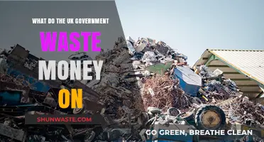 UK Government Spending: Uncovering Wasteful Projects and Misallocated Funds