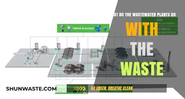 Wastewater Treatment: How Plants Process and Dispose of Waste