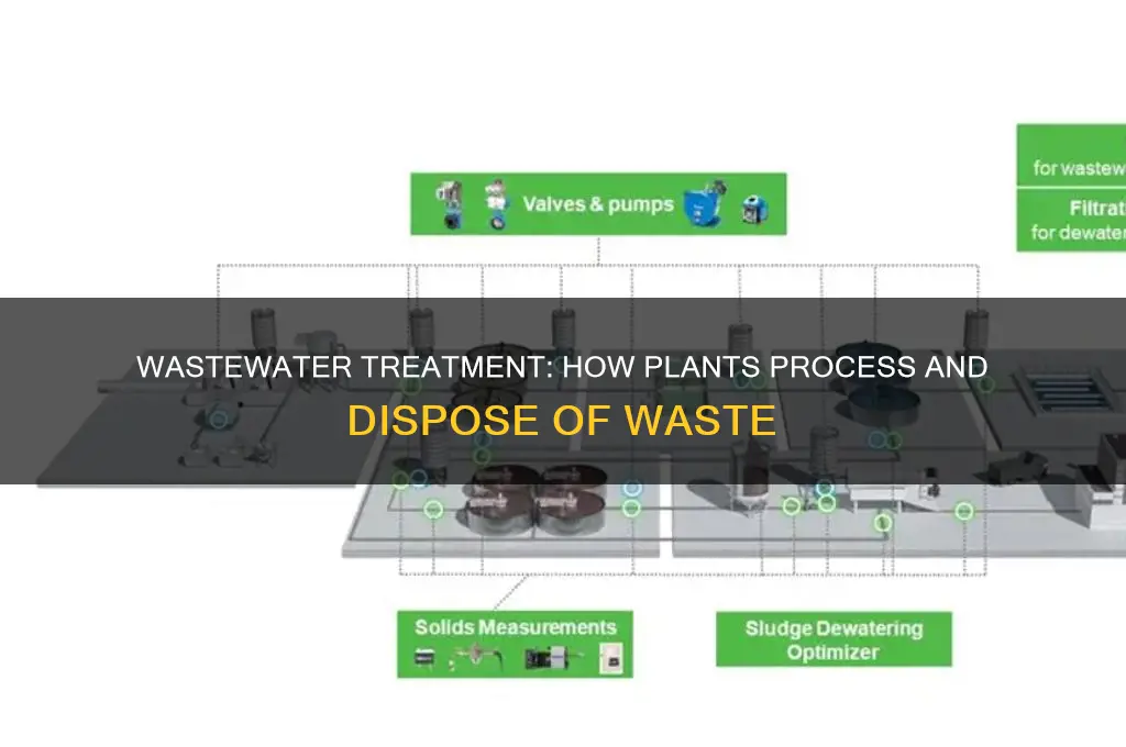 what do the wastewater plants do with the waste