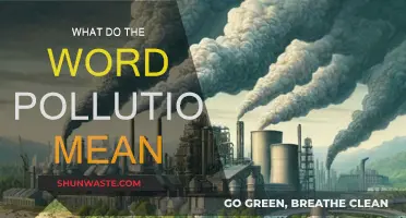 Understanding Pollution: Meaning, Causes, and Effects