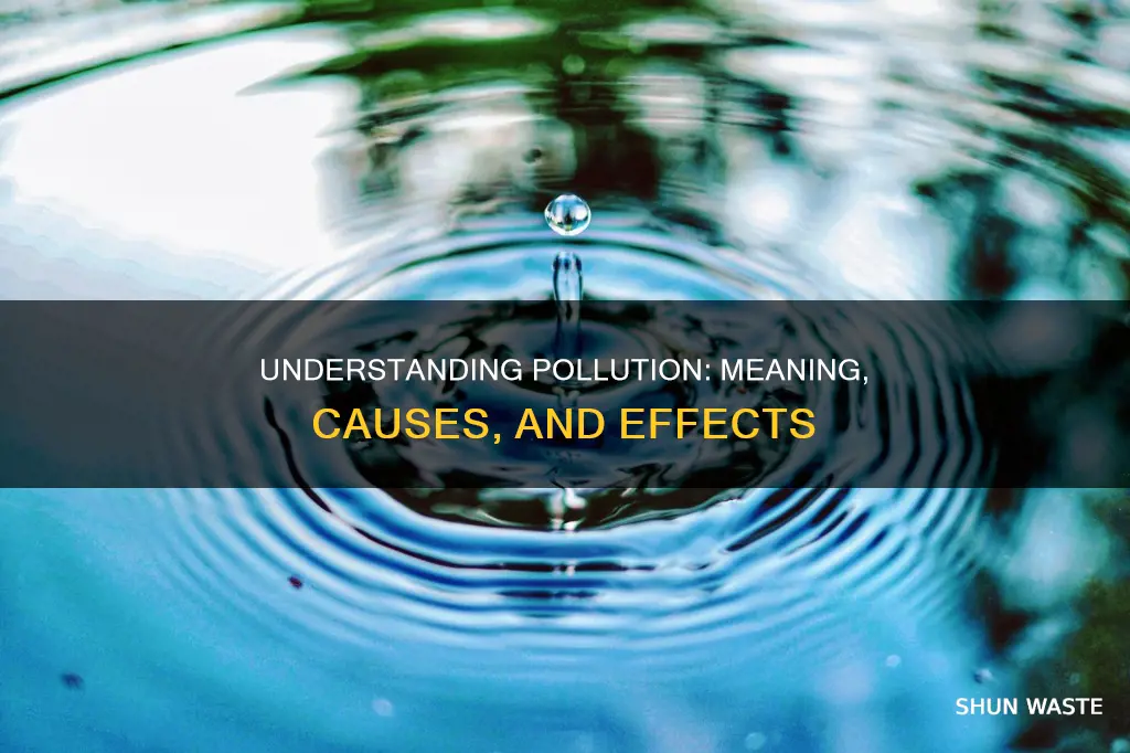 what do the word pollution mean