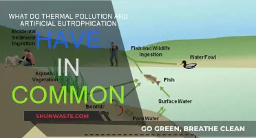 Thermal Pollution and Eutrophication: Two Faces of Environmental Harm