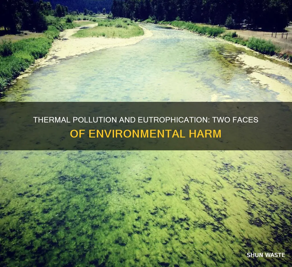 what do thermal pollution and artificial eutrophication have in common
