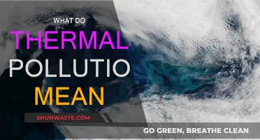 Thermal Pollution: Understanding Heat's Impact on Nature