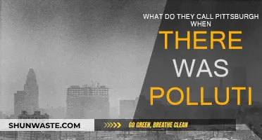 Pittsburgh's Polluted Past: The Smoky City's History