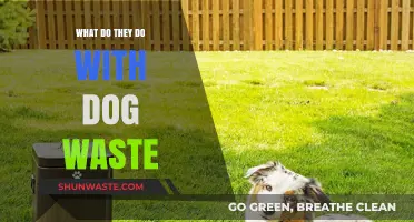 The Scoop on Dog Poop: How It's Managed and Why It Matters