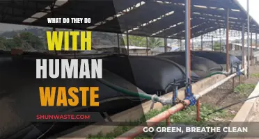 The Unseen Journey: What Happens to Human Waste After the Flush?
