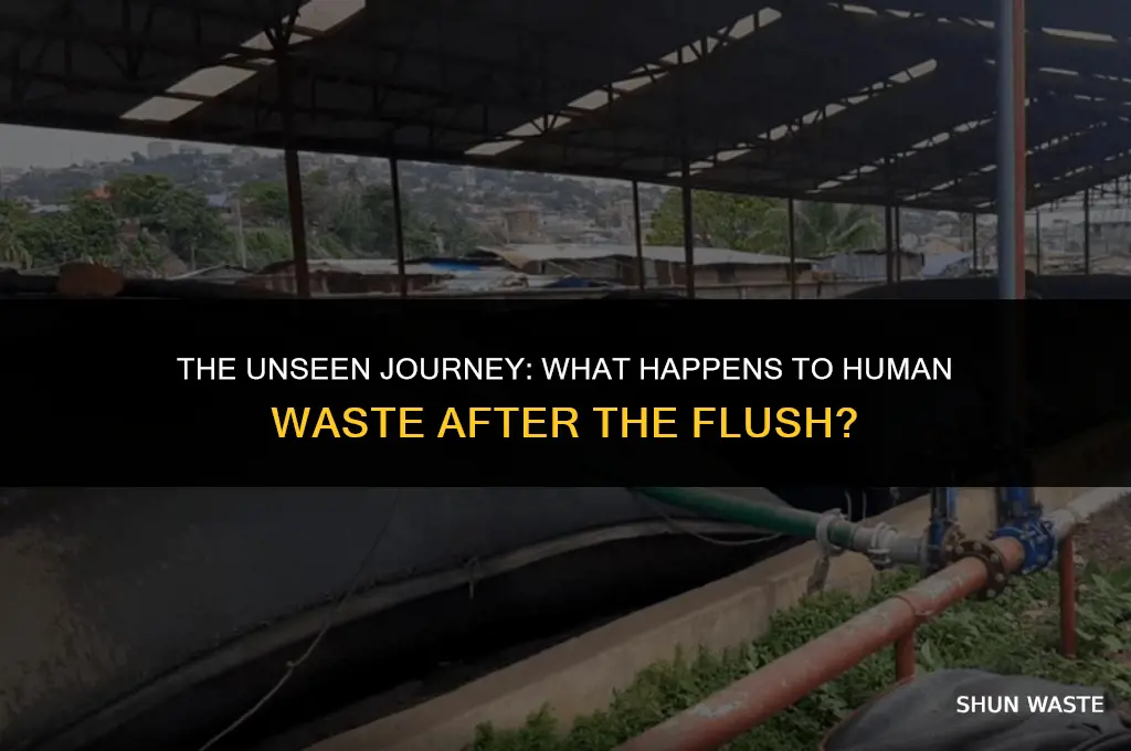 what do they do with human waste