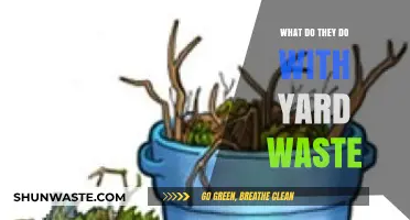Sustainable Yard Waste Management: Turning Scraps into Resources
