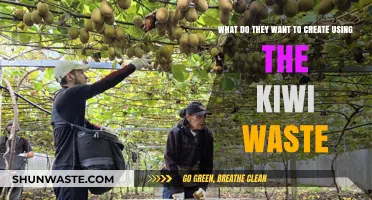 Innovative Uses for Kiwi Waste: From Compost to Culinary Delights