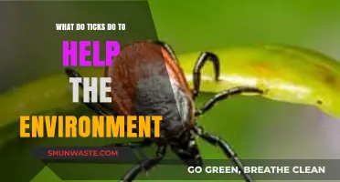 Ticks' Surprising Ecological Role: Supporting Biodiversity and Ecosystem Balance