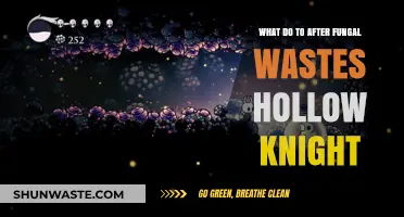 Post-Fungal Waste Strategies in Hollow Knight: A Comprehensive Guide