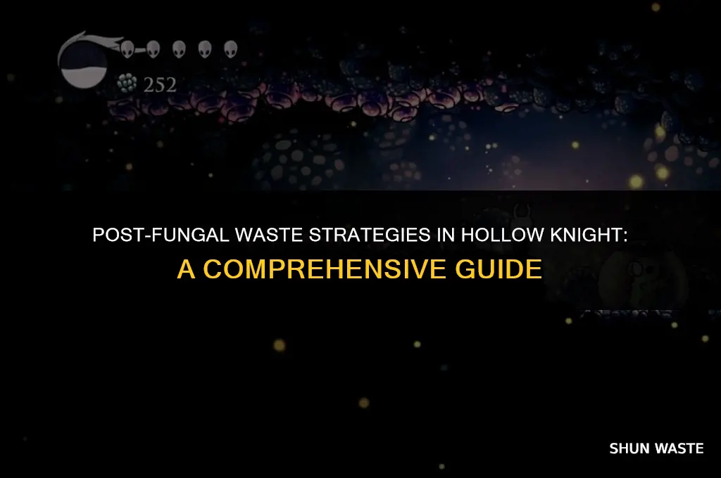 what do to after fungal wastes hollow knight