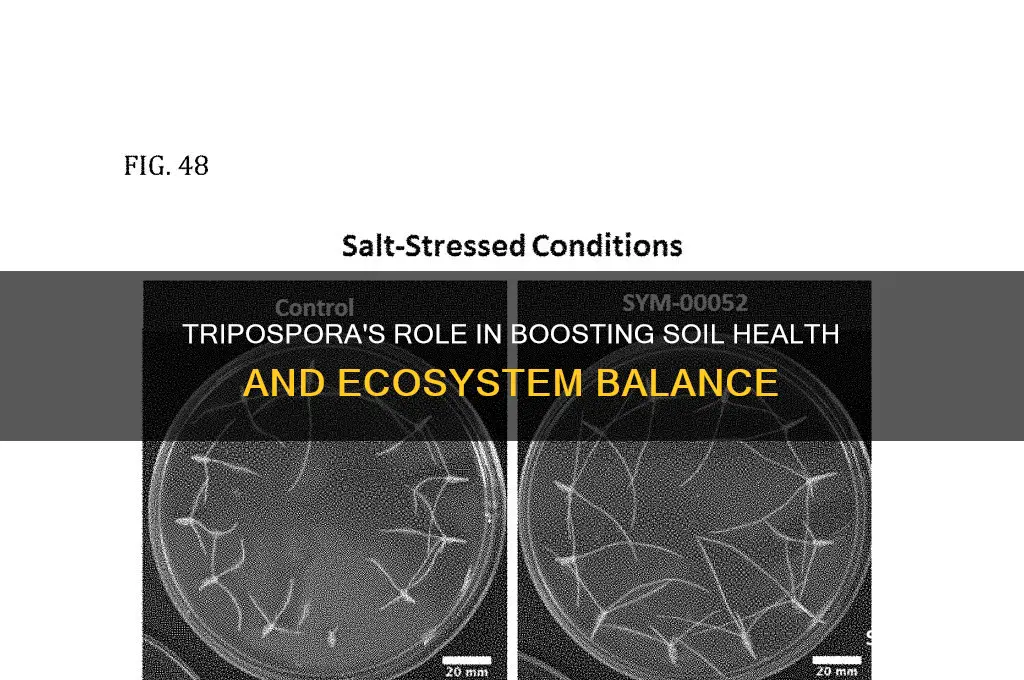 what do tripospora do to help the environment
