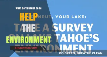 How Trispora Contribute to Environmental Sustainability and Ecosystem Health