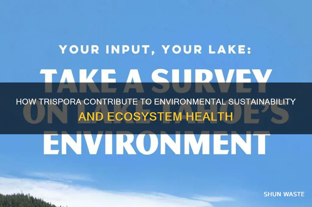 what do trispora do to help the environment