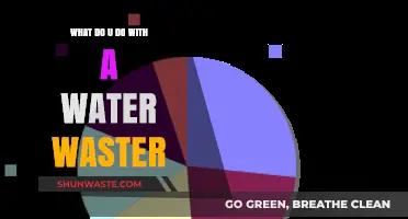 Eco-Friendly Solutions: How to Handle a Water Waster