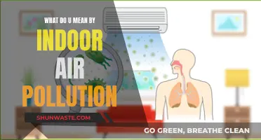 Air Quality Alert: Indoor Air Pollution Explained