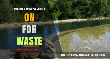 Eco-Friendly Pool Maintenance: Filter Options for Waste Management