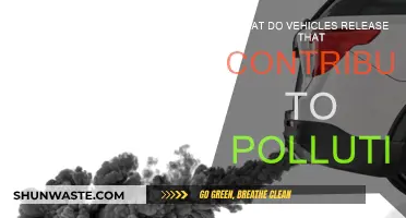 Vehicles' Harmful Emissions: Understanding Pollution's Main Culprit