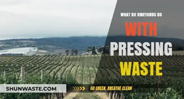 Sustainable Practices: How Vineyards Manage Pressing Waste