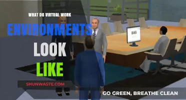 Exploring the Future: What Virtual Work Environments Look Like Today