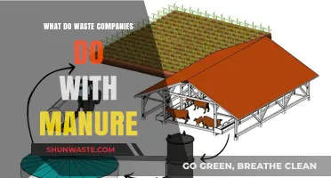Sustainable Practices: How Waste Companies Transform Manure into Resources