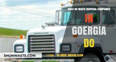 Georgia's Waste Disposal: Unveiling the Process and Services Offered
