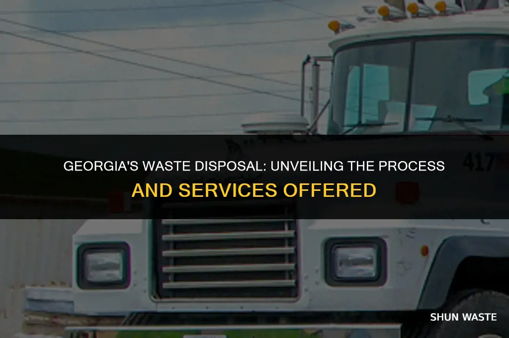 what do waste disposal companies in goergia do
