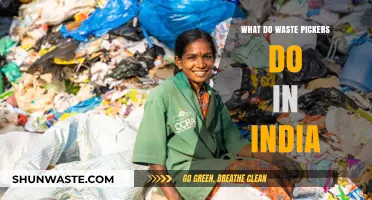 Unsung Heroes: The Vital Role of Waste Pickers in India's Recycling Ecosystem